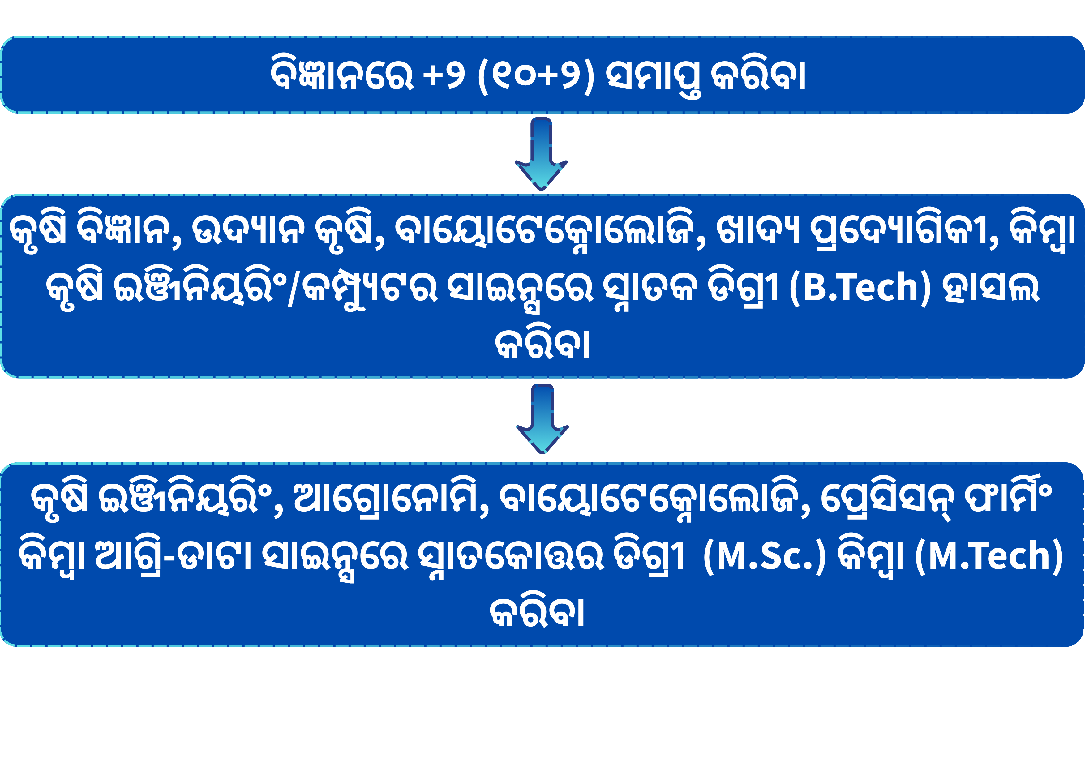 ରୋଡ୍ ମ୍ୟାପ୍